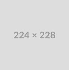 check-big-img1